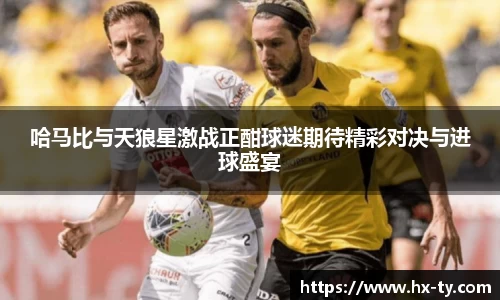 哈马比与天狼星激战正酣球迷期待精彩对决与进球盛宴